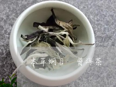 本草纲目 普洱茶/2023041285168